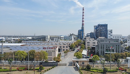 2009